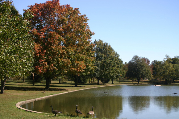 Greenville City Park