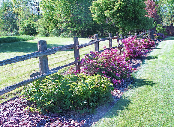 Spring Fence: May 9