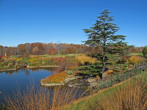 Holden Arboretum: Oct. 27