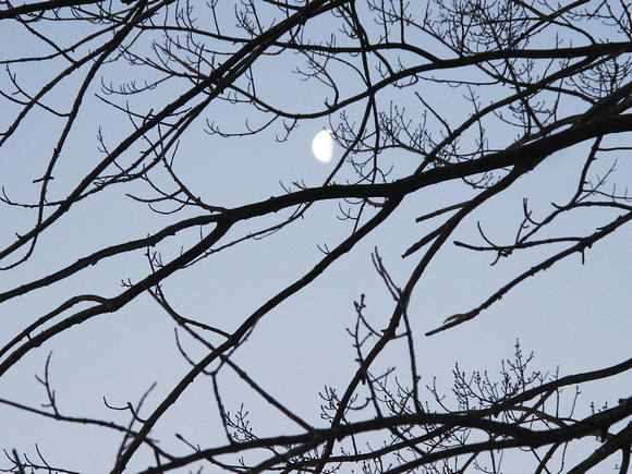 Moonshine: Feb. 13