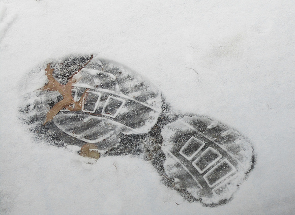 Snow Shoe: Nov. 24