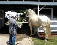 Trumbull County Fair 2008