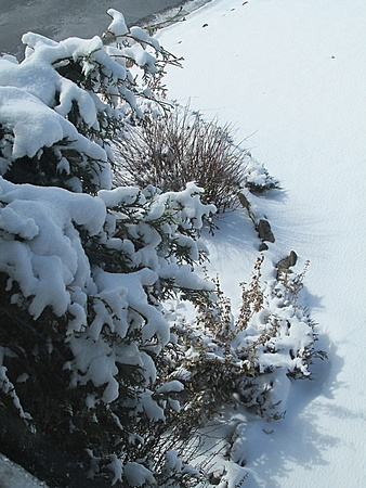 Snowbound, 10 a.m.: March 30