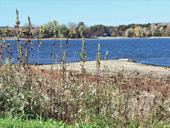 Mosquito Lake State Park: Oct. 11