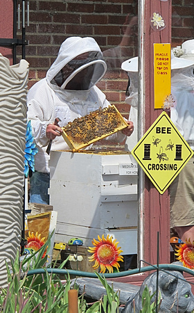 Mind Your Beeswax: May 28
