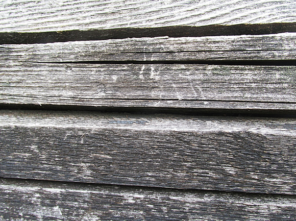 Fence Detail: March 27