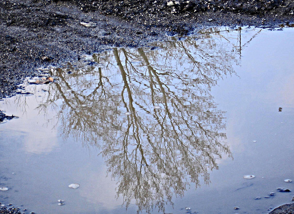 Reflections in Mud: March 30