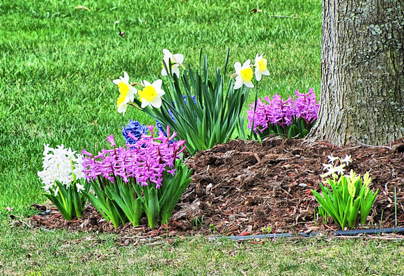 Spring Scents: April 16