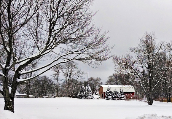 Winter Barn: Feb. 17