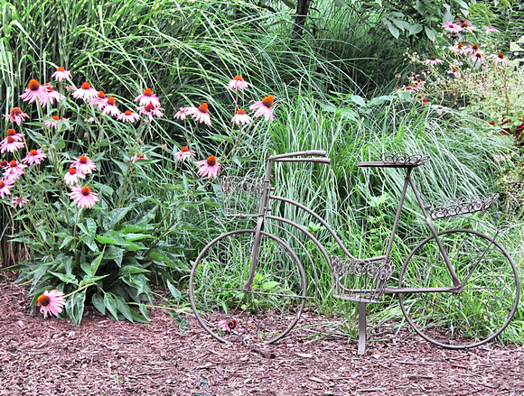 Bicycle Garden: July 22