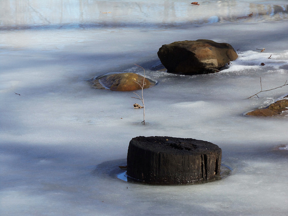 Pond Stuff: Feb. 20