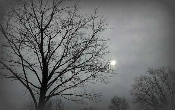 Morning Fog: Nov. 27