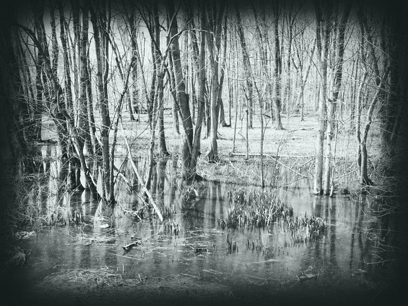 Swamp Thing: April 19