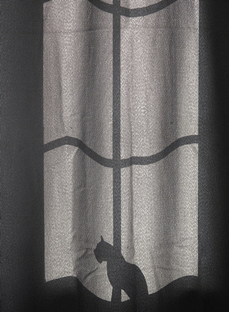 Cat in the Curtain: June 1