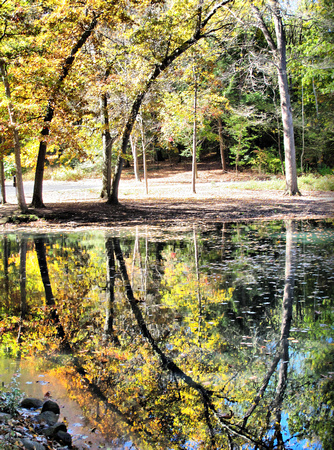 Pond Reflections: Oct. 12