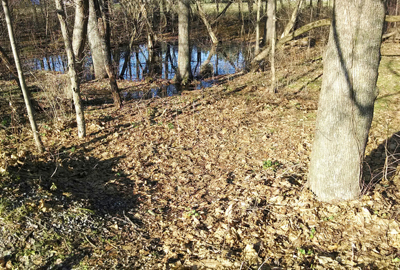 Swamped: Dec. 28