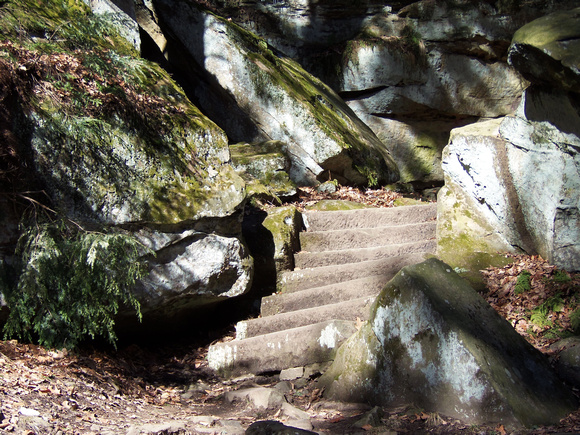Crooked Steps: Feb. 4