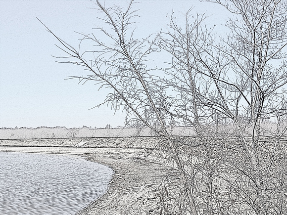 Sketchy Shoreline: Feb. 19