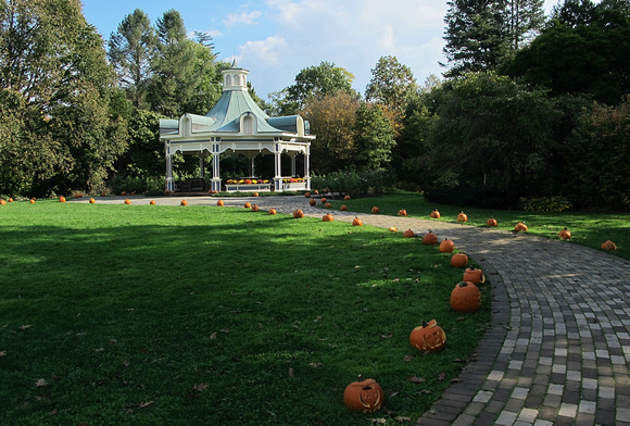 Pumpkin Path: Oct. 17