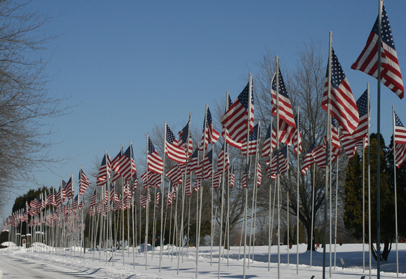 Avenue of the Flags: Jan. 14