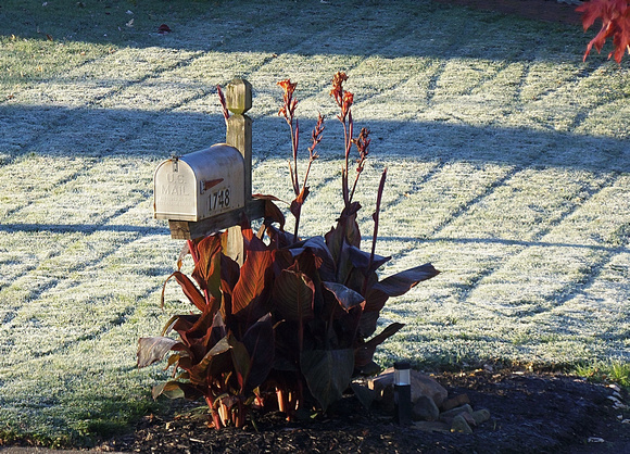 First Frost: Oct. 28