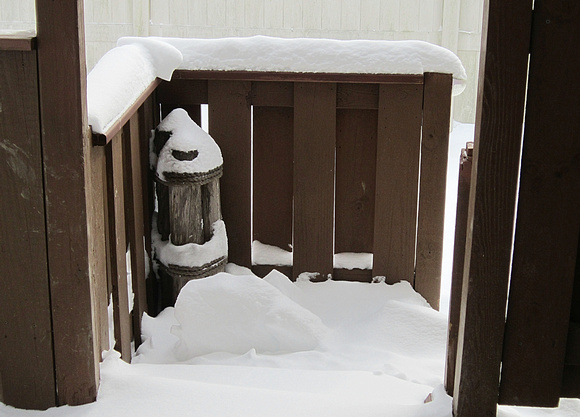 Snow Monster: Jan. 16