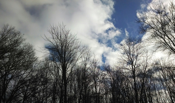 Sunny Skies: Feb. 5