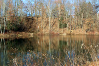 Winter Pond: Dec. 30