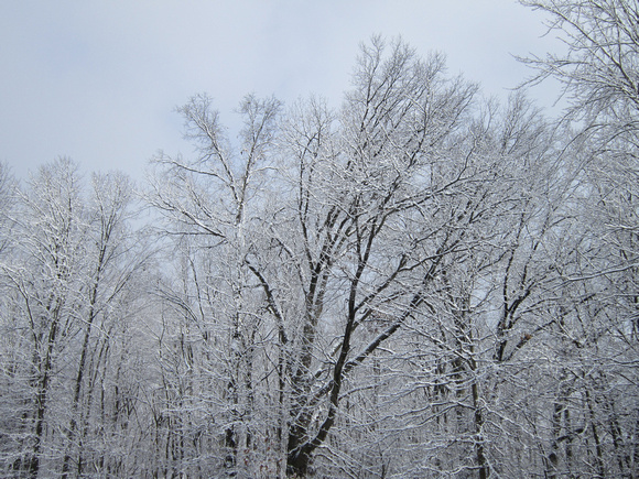 Winter Wonderland: Feb. 13