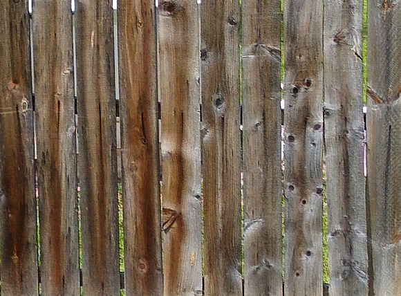Fanciful Fence: May 12