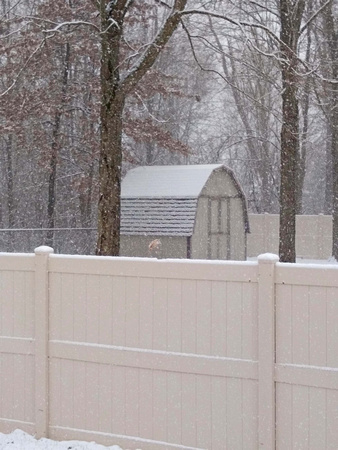 Neighbor's Snow: Dec. 16