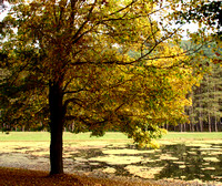 Beaver Creek State Park