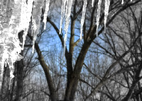 Icy Bright: Jan. 22