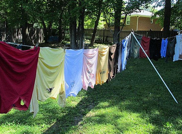Wash Day: June 15