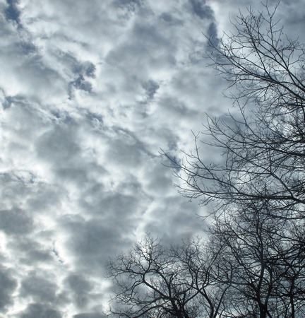 Clouds: Jan. 7