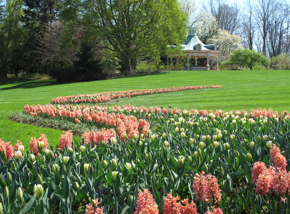 Spring at the Park: April 10