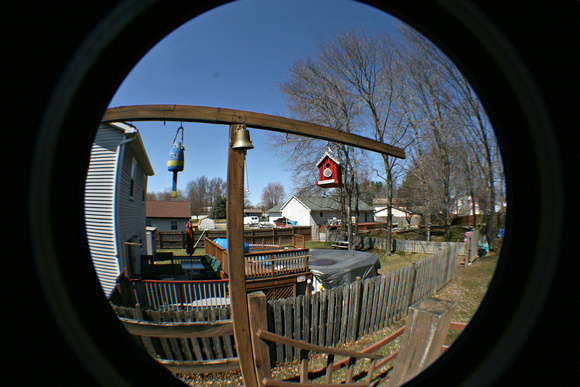 Backyard Fisheye: April 9