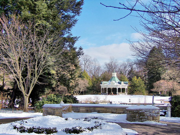 Winter in the Park: Jan. 23
