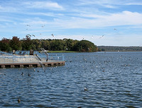 Pymatuning State Park