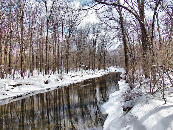 Mill Creek Reflections: March 2