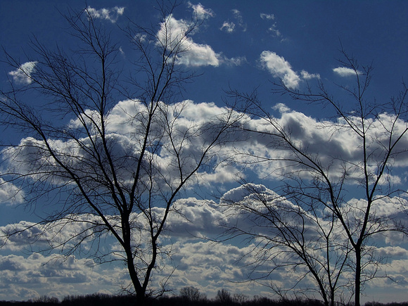 Blue Skies: Feb. 22