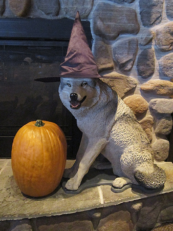 Halloween Wolf: Oct. 14