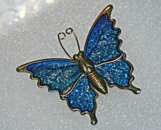 My Butterfly: Jan. 16