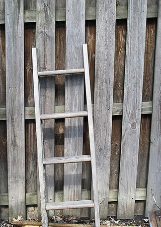 Backyard Ladder: April 12